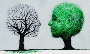 Beck Depresyon Testi