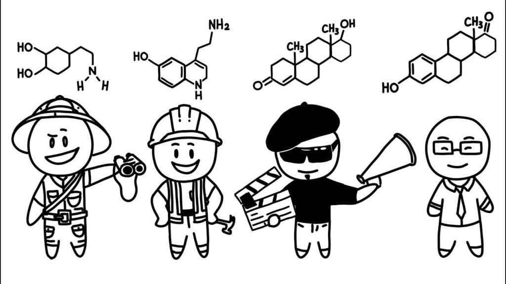 helen fisher kisilik testi